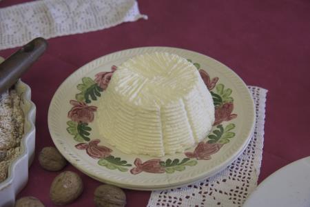 Oddaja Dobro jutro v Občini Hrpelje-Kozina 73